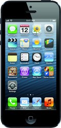 Apple iPhone 5 16GB - Сертолово